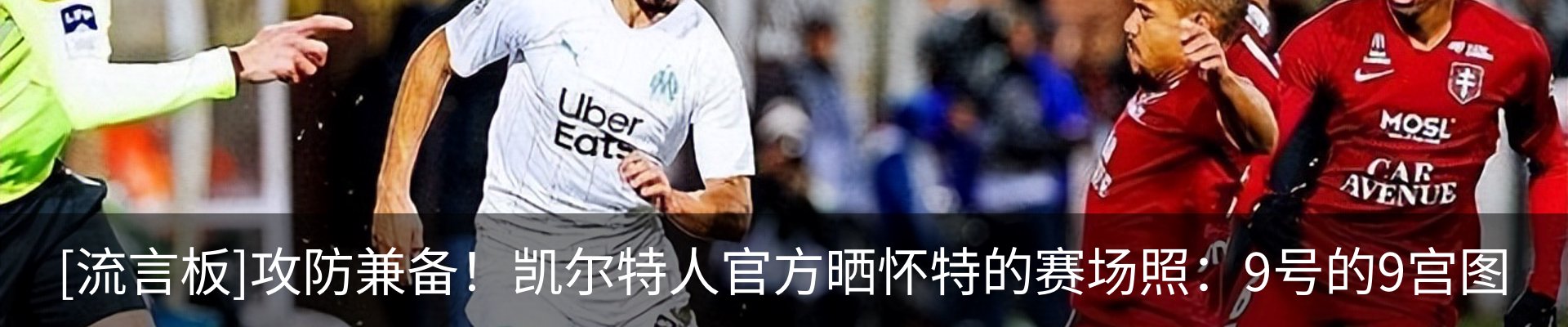 新闻动态